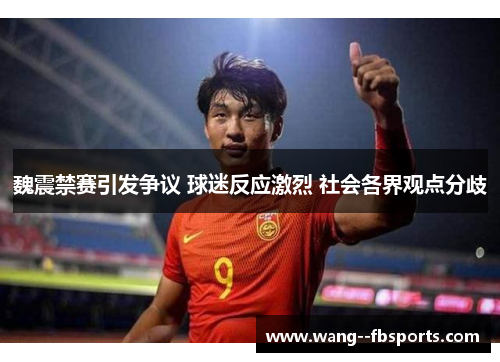 魏震禁赛引发争议 球迷反应激烈 社会各界观点分歧