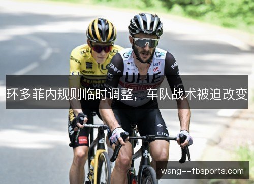 环多菲内规则临时调整，车队战术被迫改变